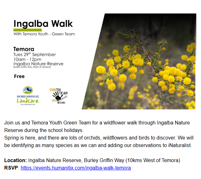 Ingalba Wildflower Walk