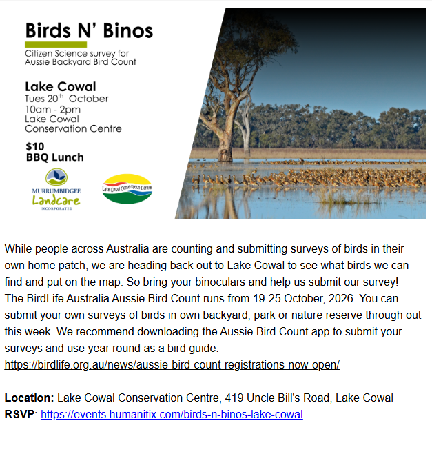 Birds N' Binos at Lake Cowal