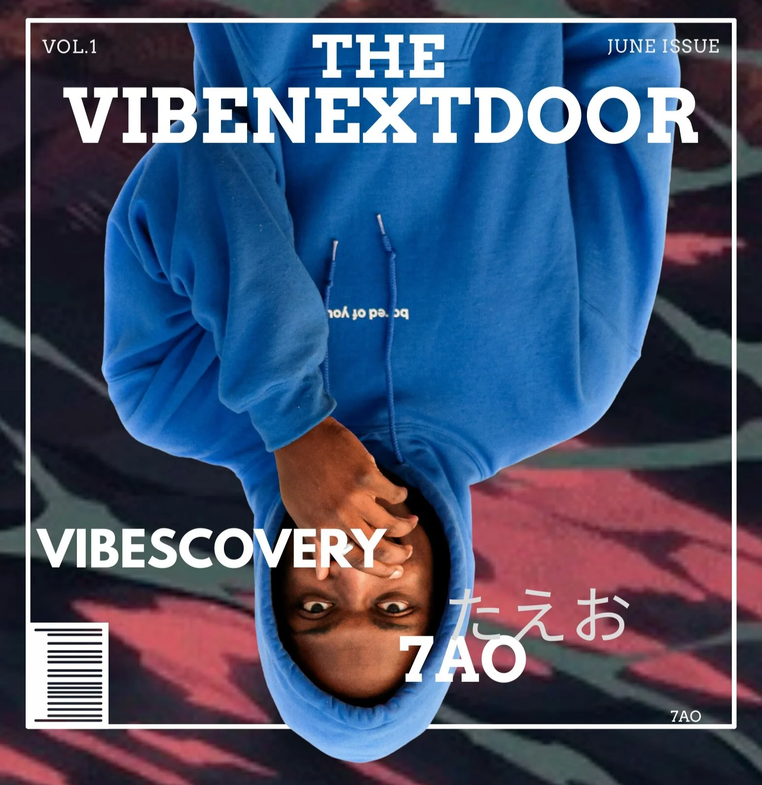 Vibenextdoor (8).png