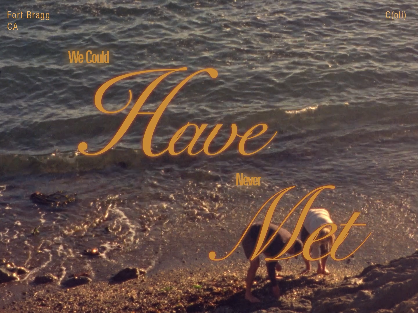 We Could Have Never Met