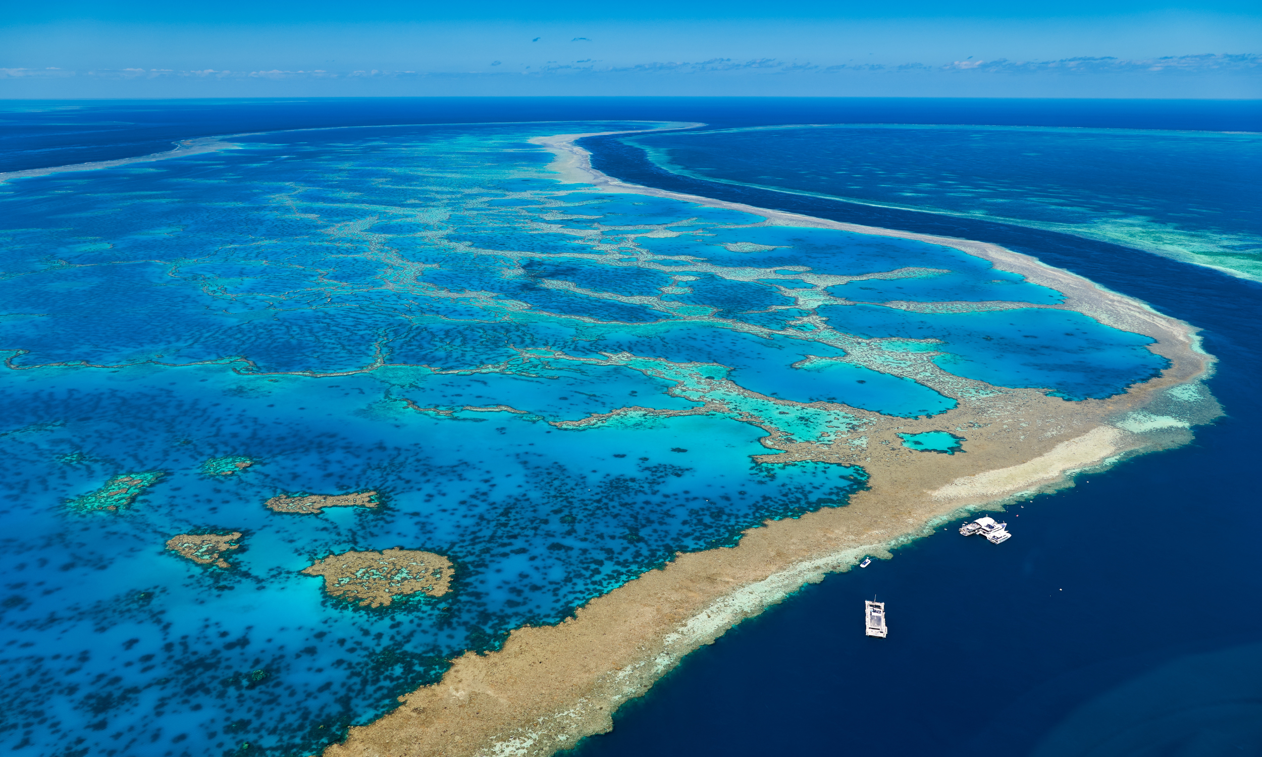 Biofilter benefits for the Great Barrier Reef