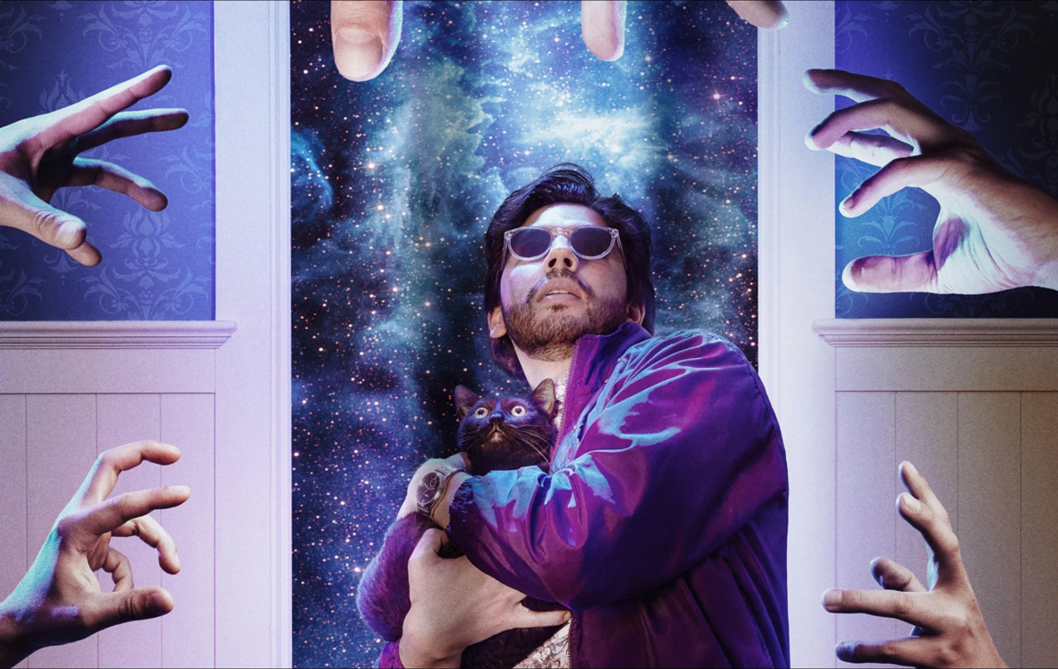 Parliament Cat “TAKEOVER”