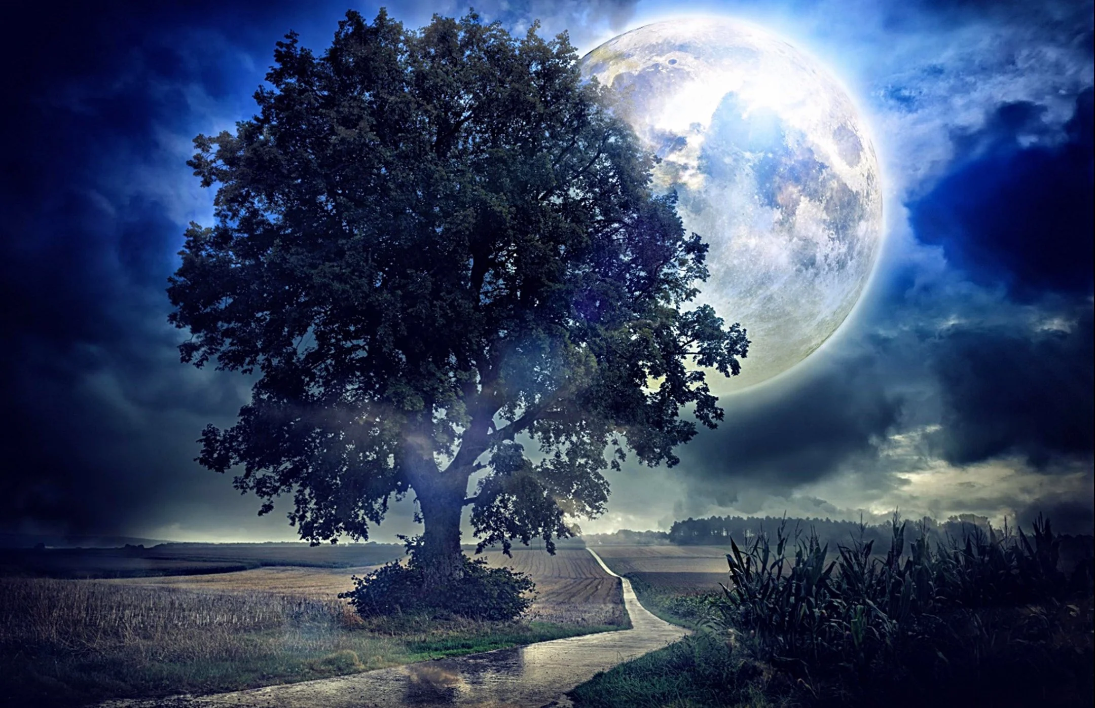 Filip Dahl “Walking Towards Eternity”