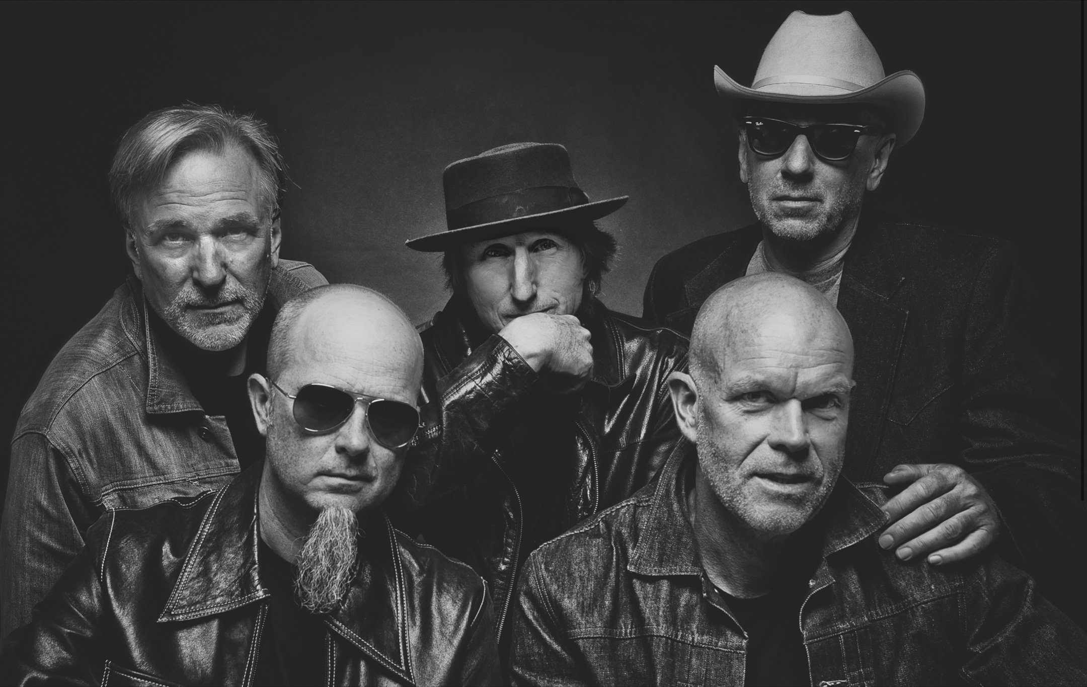 New Yank Yorkies “Trick of the Heart”