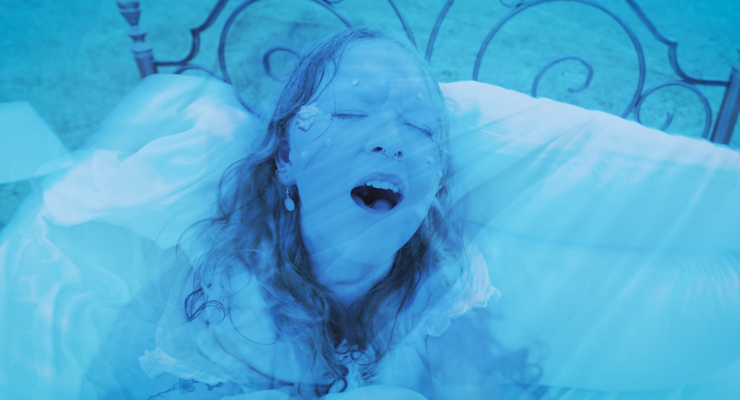 Feature: Shy Blossom Decodes “All I Wanted”