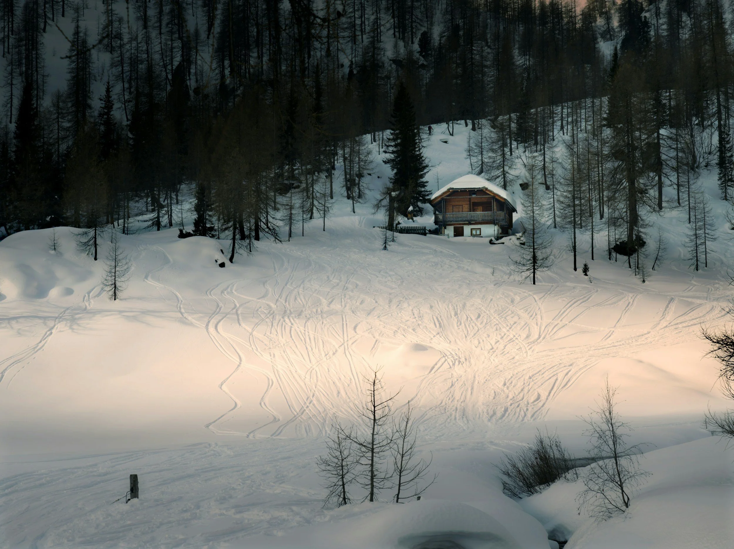 Who Is Edgar Fannigan? His Winter Baby’s Serial Killer &amp; Burning Questions, Explained