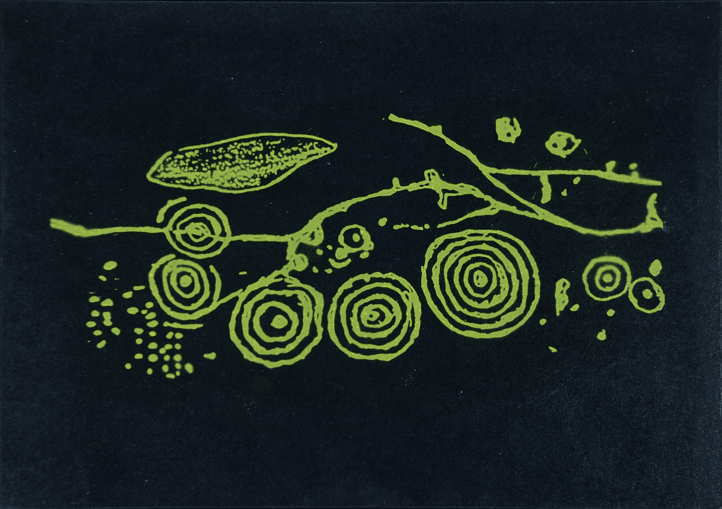  Chrom-Gelatine-Pigment-Druck mit Kadmium-Gelb 