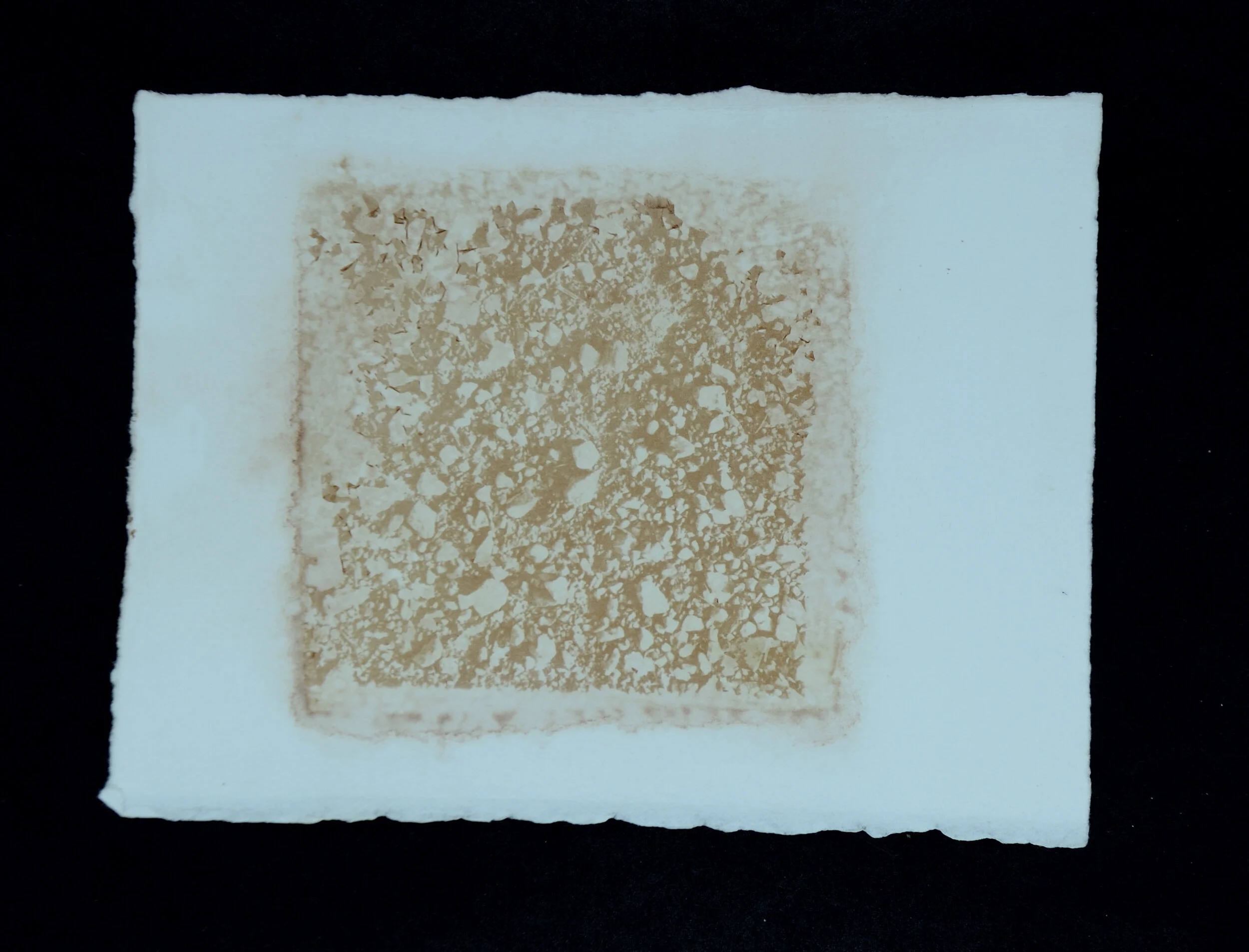 Die Felder von Verdun