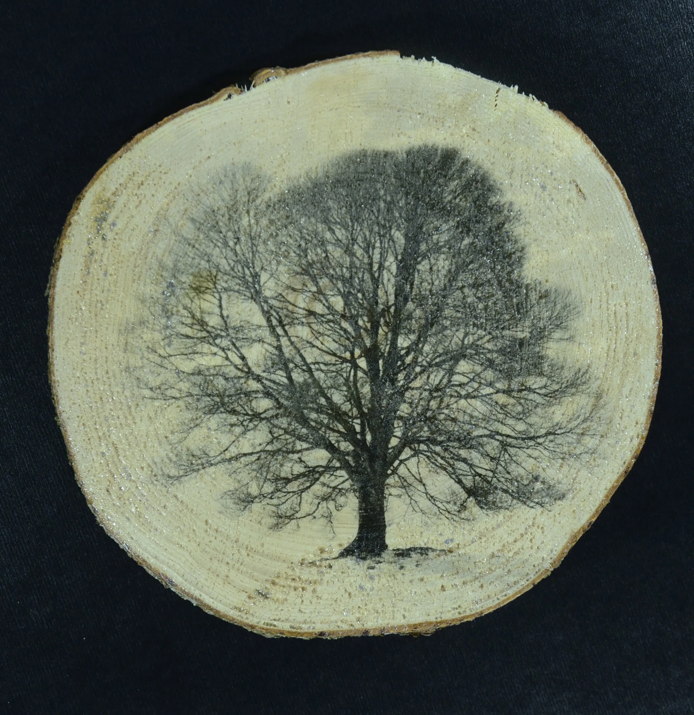  Fotogelatine auf Holzscheibe 