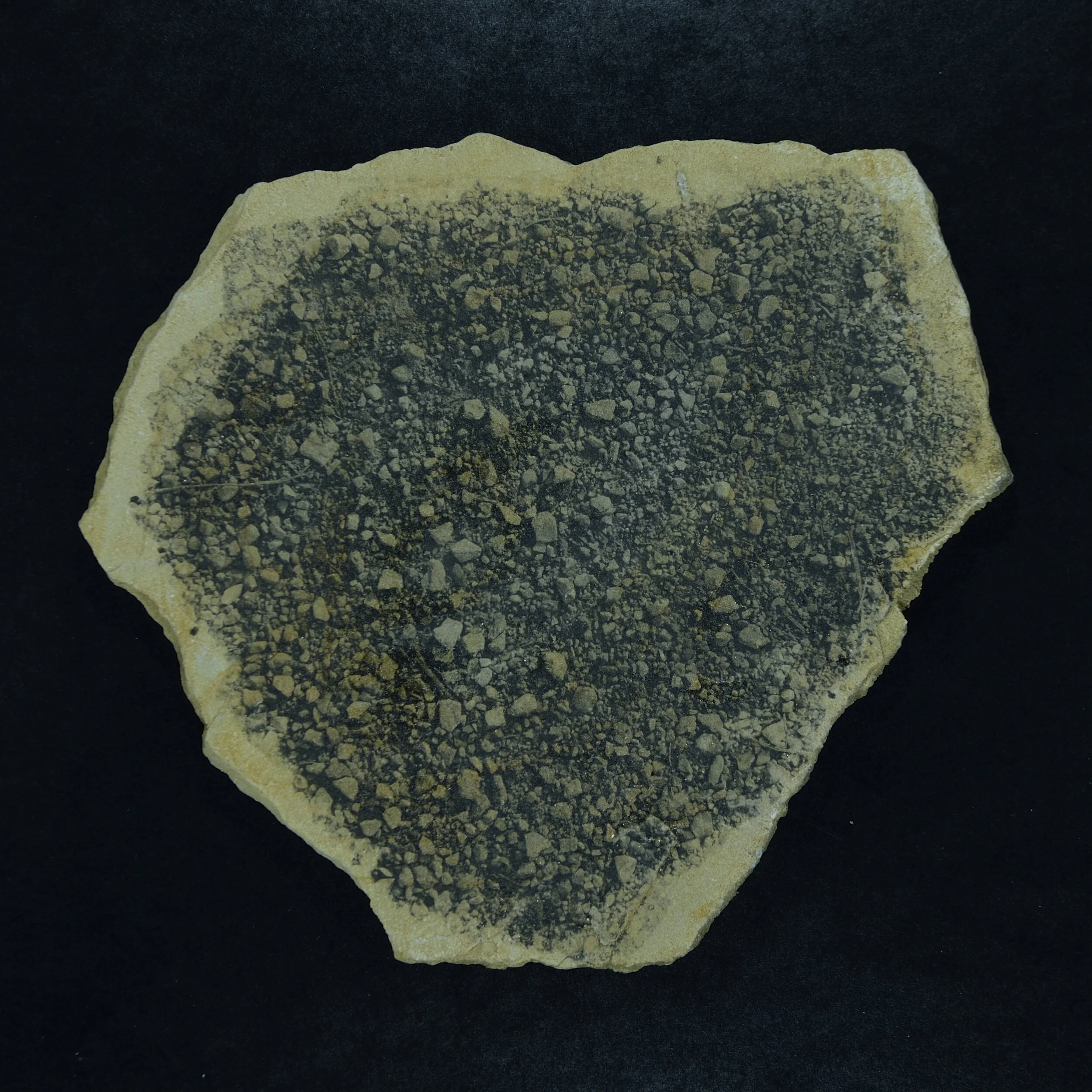  Fotogelatine auf Sandsteinplatte 