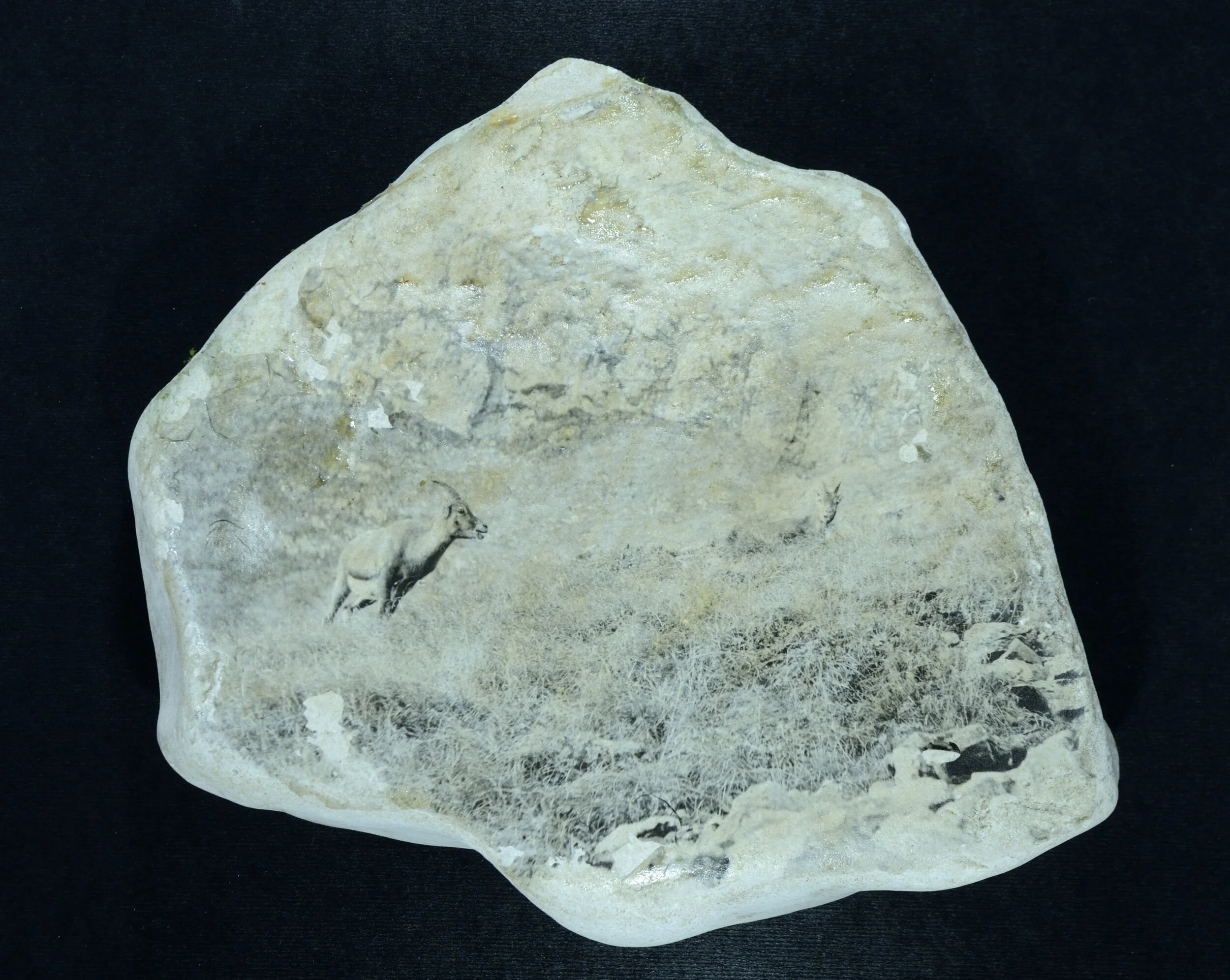  Fotogelatine auf Kalksteinscheibe 