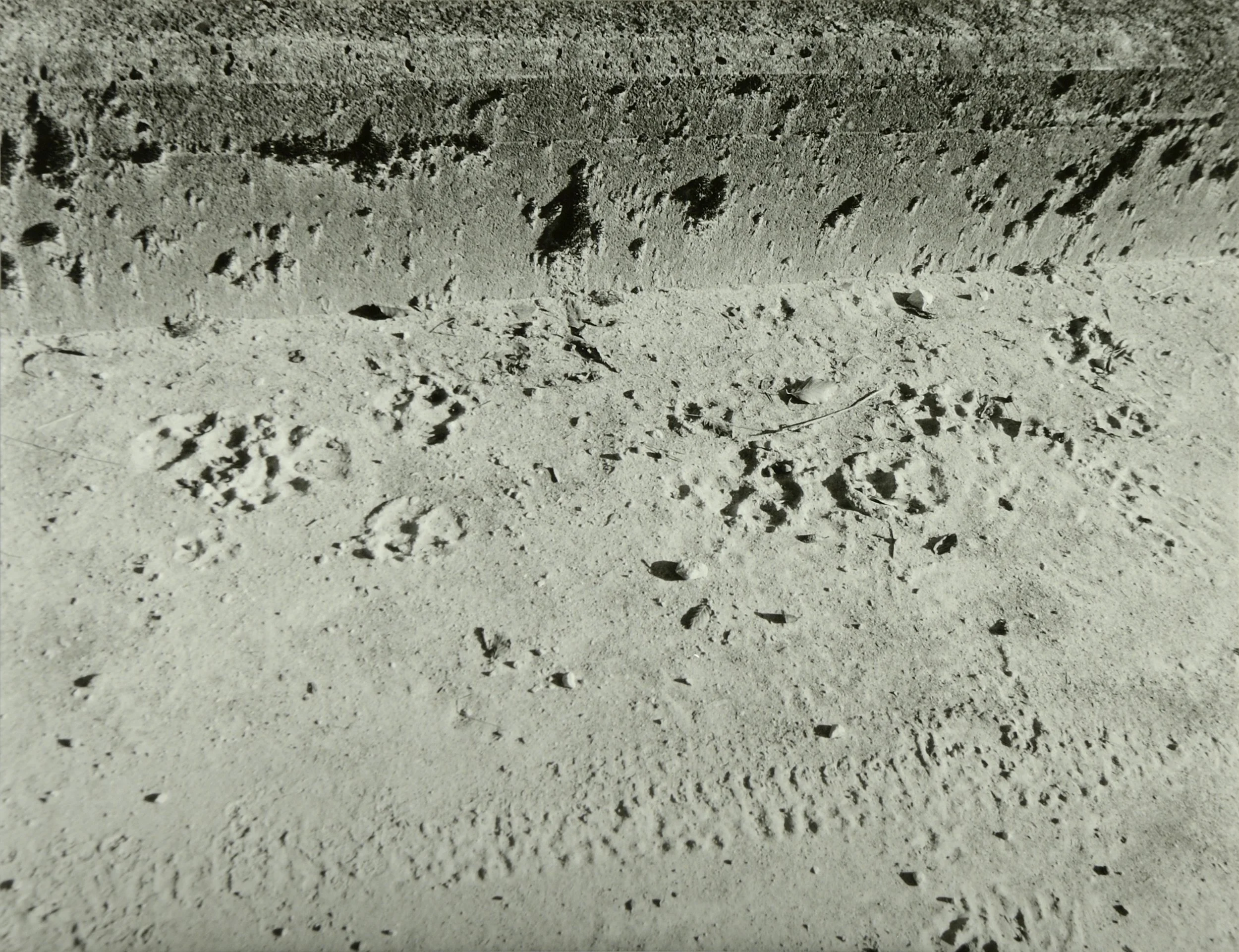 _DSC1964.JPG