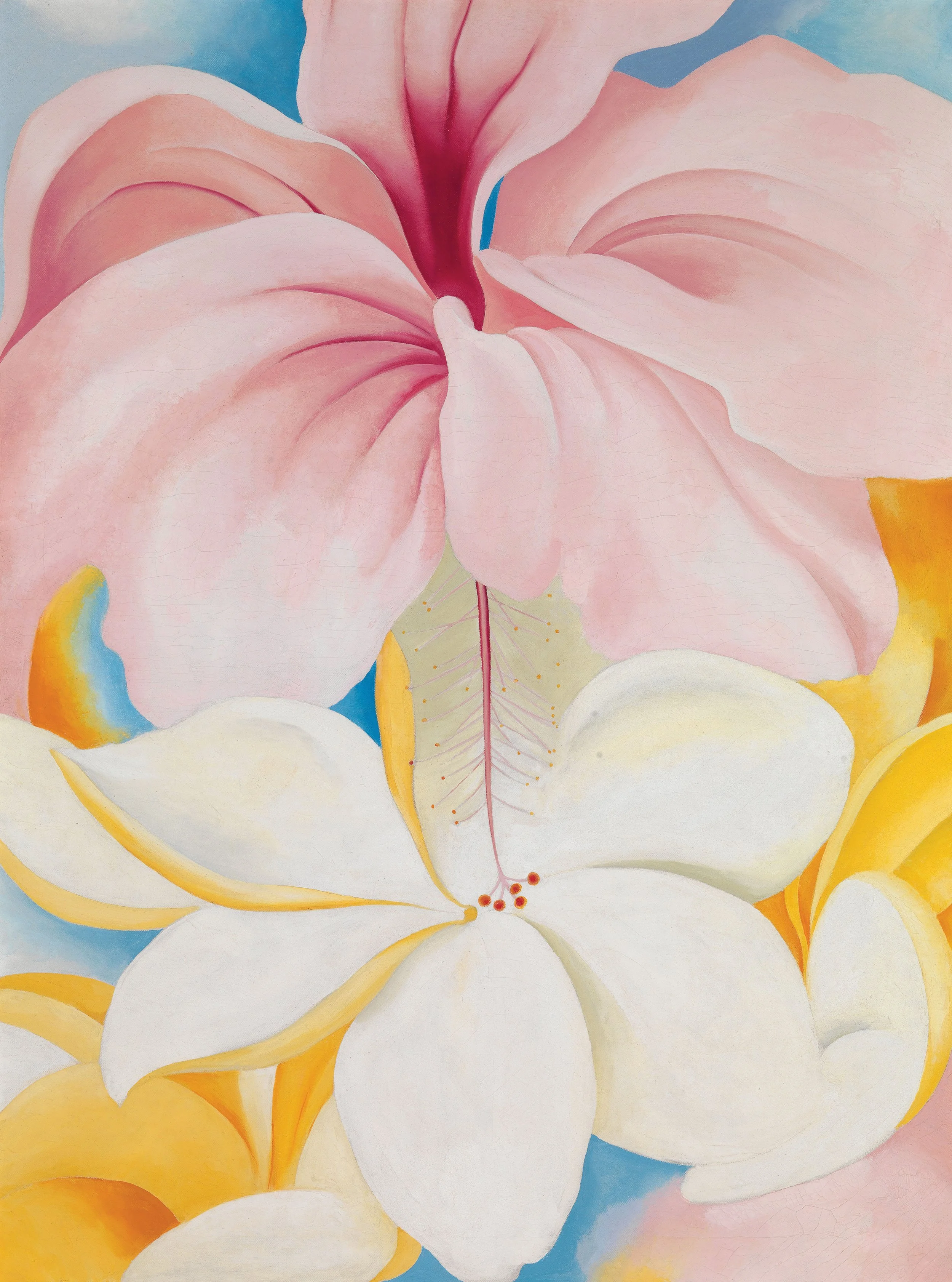 2018_3-Summer_OKeeffe_Hawaii_05.jpg