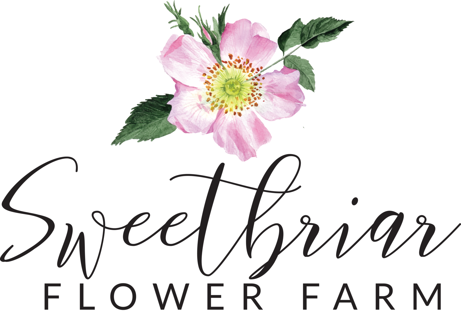 Sweetbriar Flower Farm