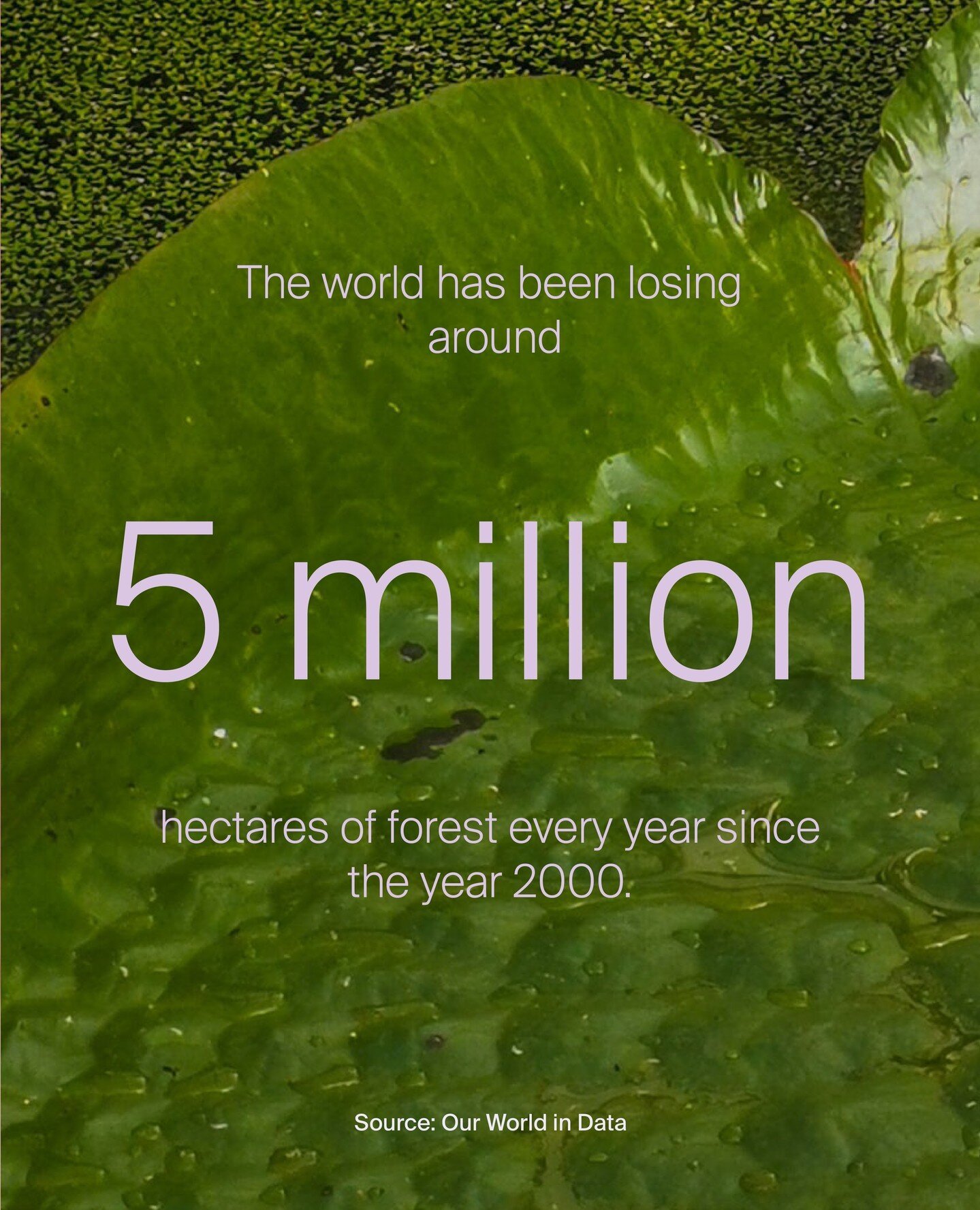 Every year, millions of acres of forests are cleared for timber, agriculture, and urbanization, leading to significant environmental and social consequences. 🌳⁠
⁠
Deforestation is a particular concern in tropical rain forests because these forests a