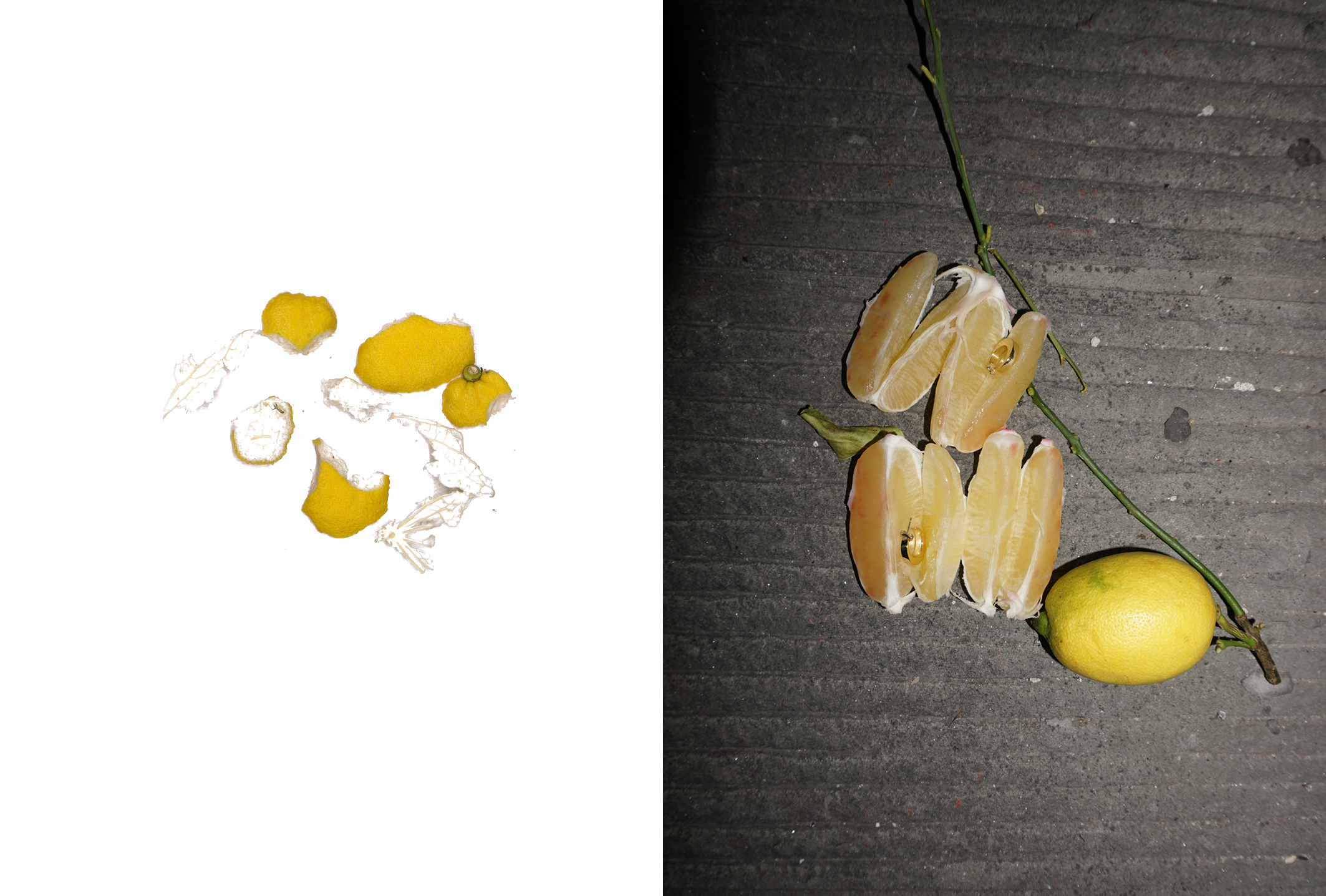 Still Life f More or Less5.png