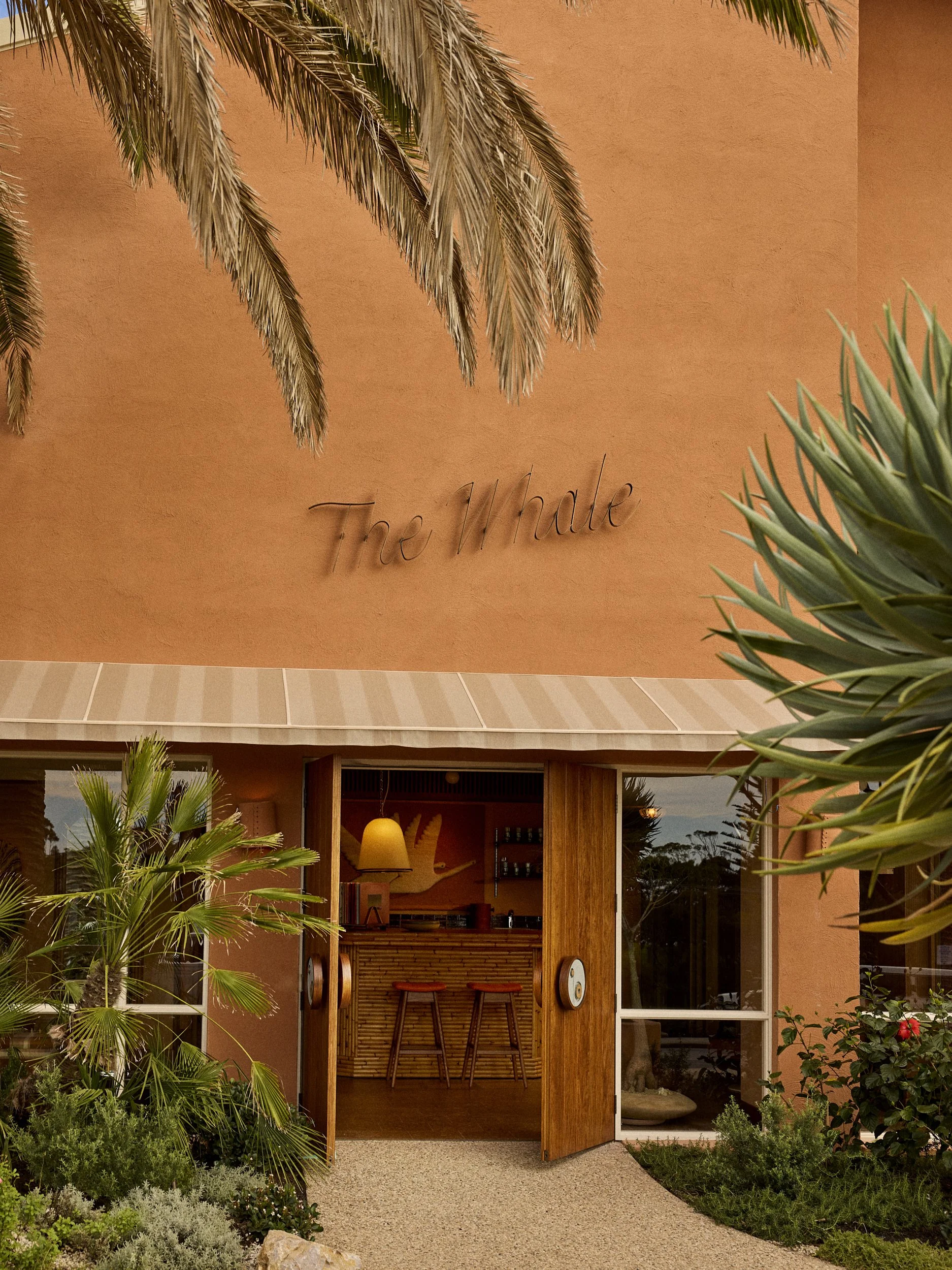 THEWHALE_0806_SCREEN-RES.jpg