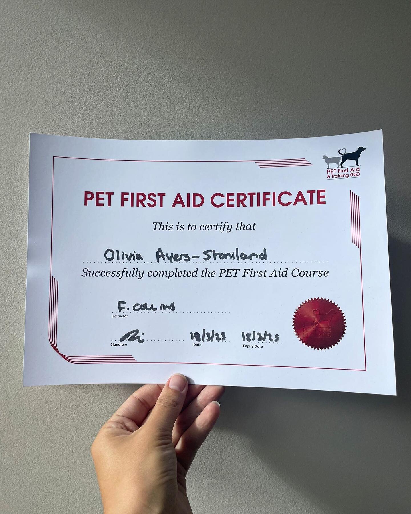 We have lots of exciting news here at Take the Lead QT&hellip;

Olivia is now first aid trained! 

Big thanks to @remarkabledogs &amp; @petfirstaidnz for giving us both this crucial knowledge on how best to care for everyone&rsquo;s beloved pets. 

O