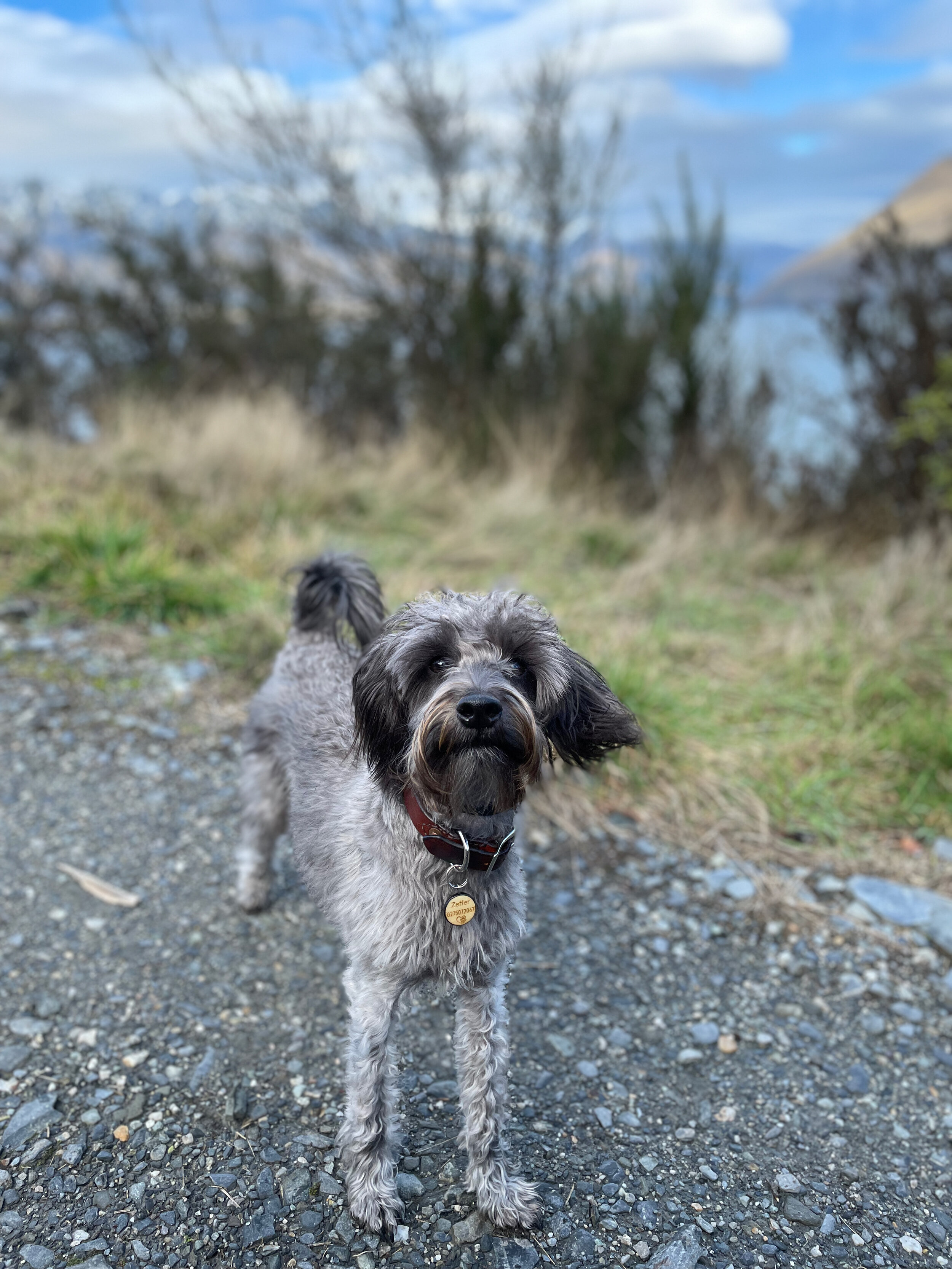 IMG_2024.jpeg