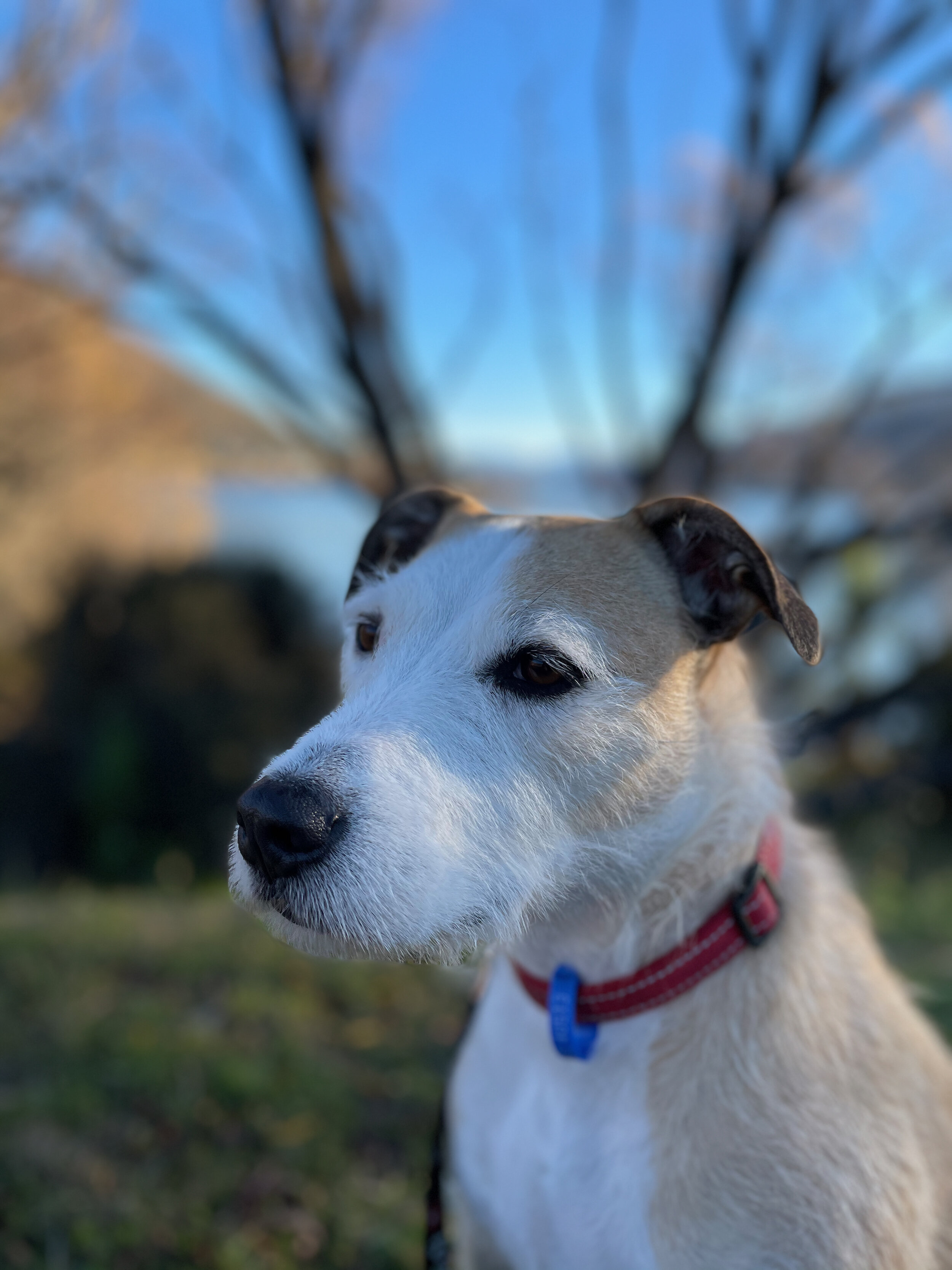 IMG_9397.jpeg