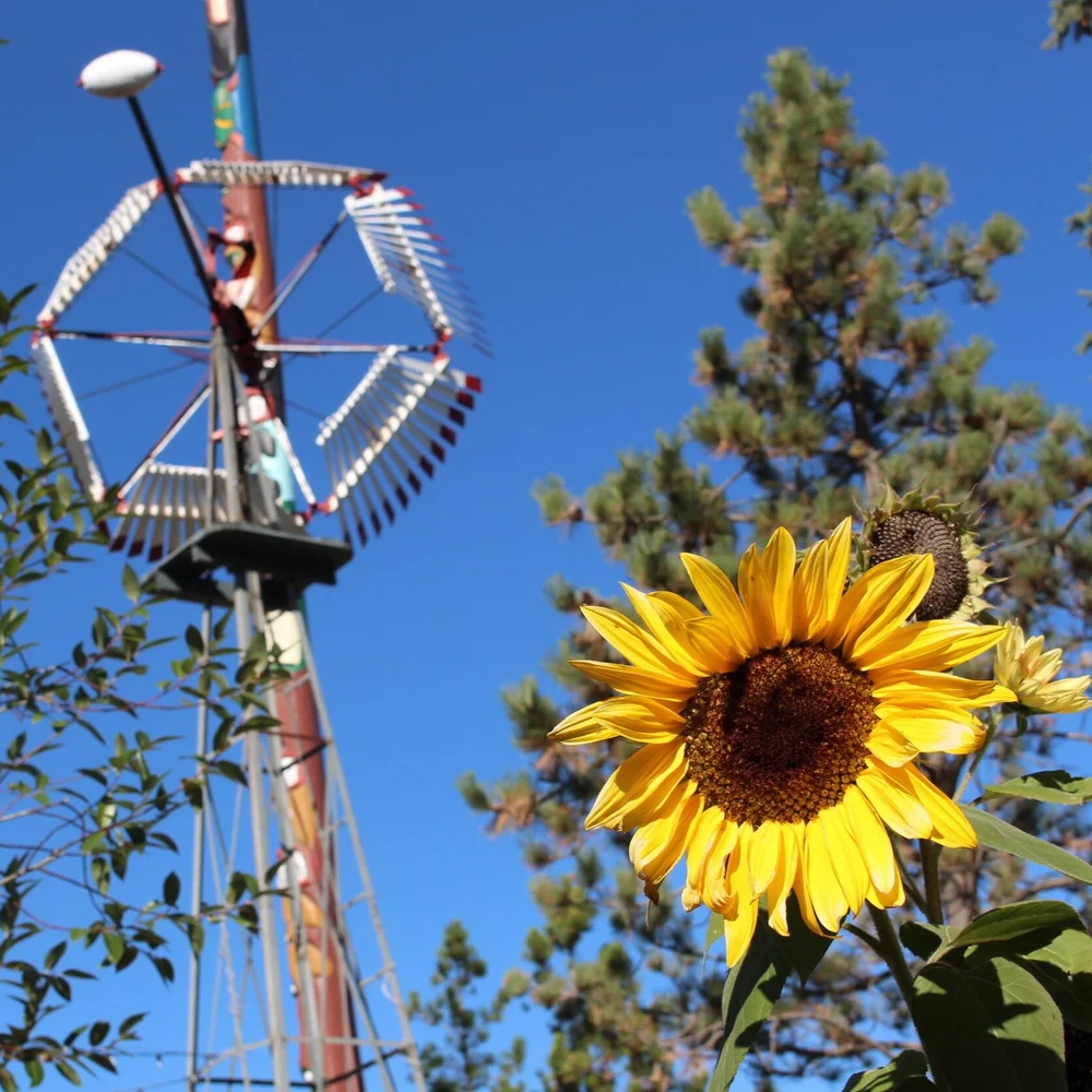 Gallery — Saskatoon Farm