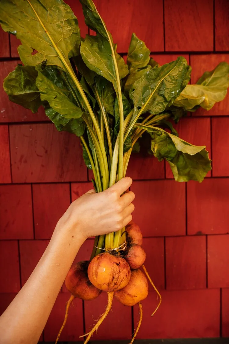 Golden beets.jpg