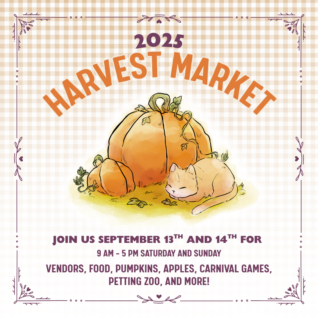 Harvest Market, Day 1