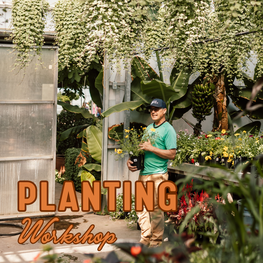Planting Workshop at the farm