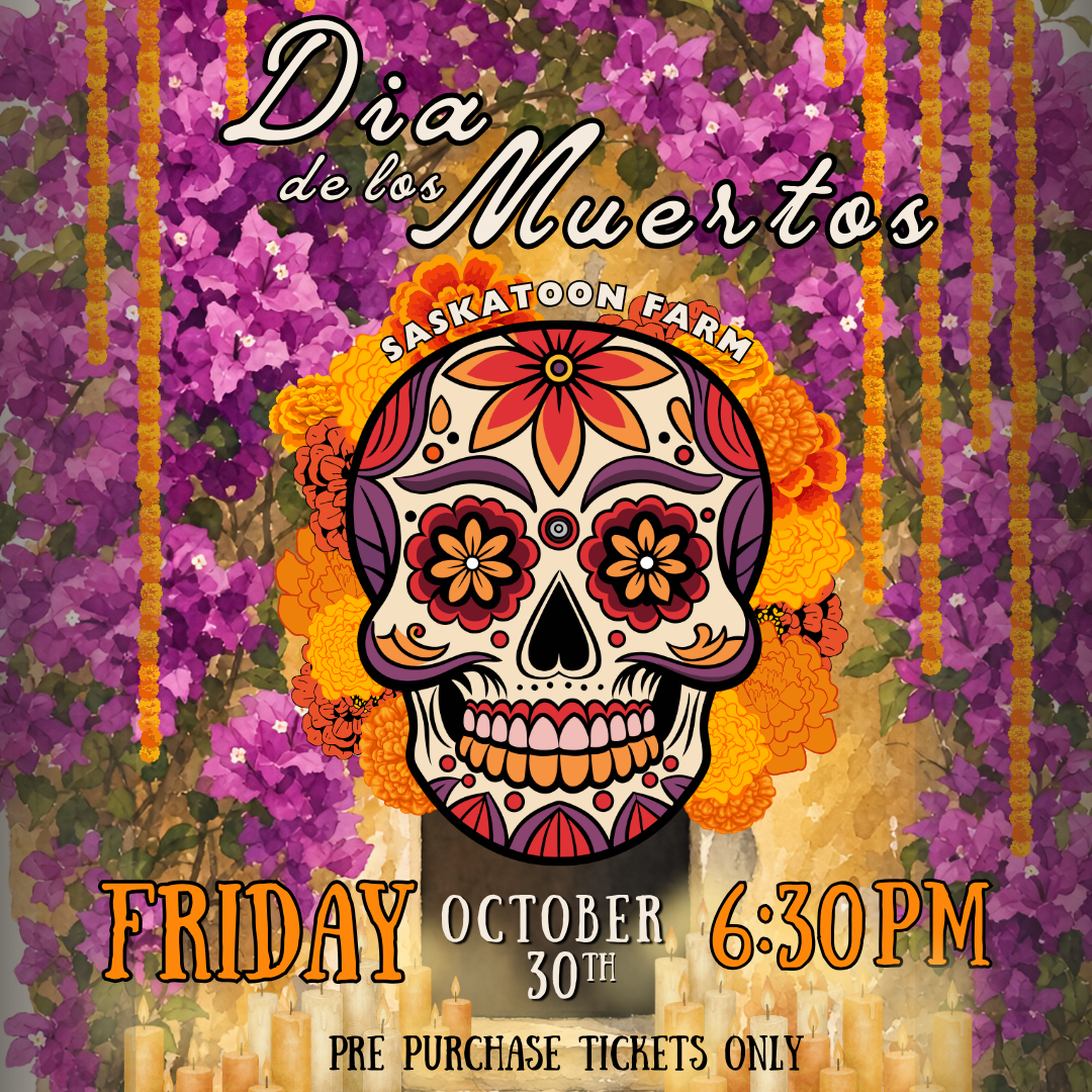 Dia De Los Muertos Celebration!