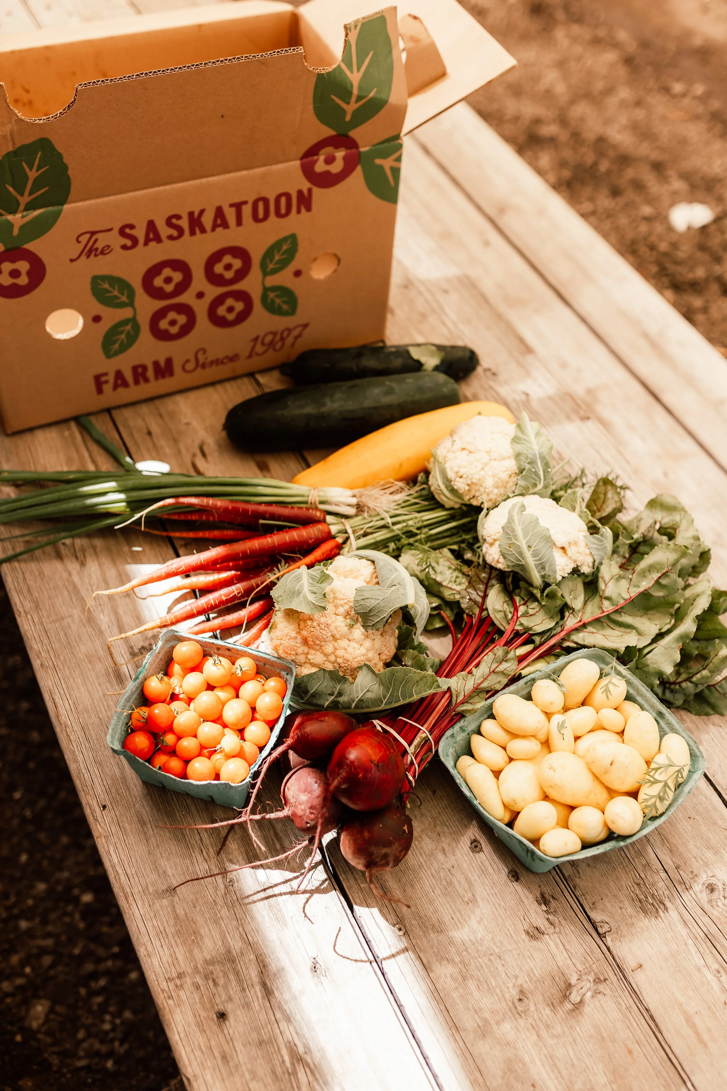 Weekly Harvest Share Sample.jpg