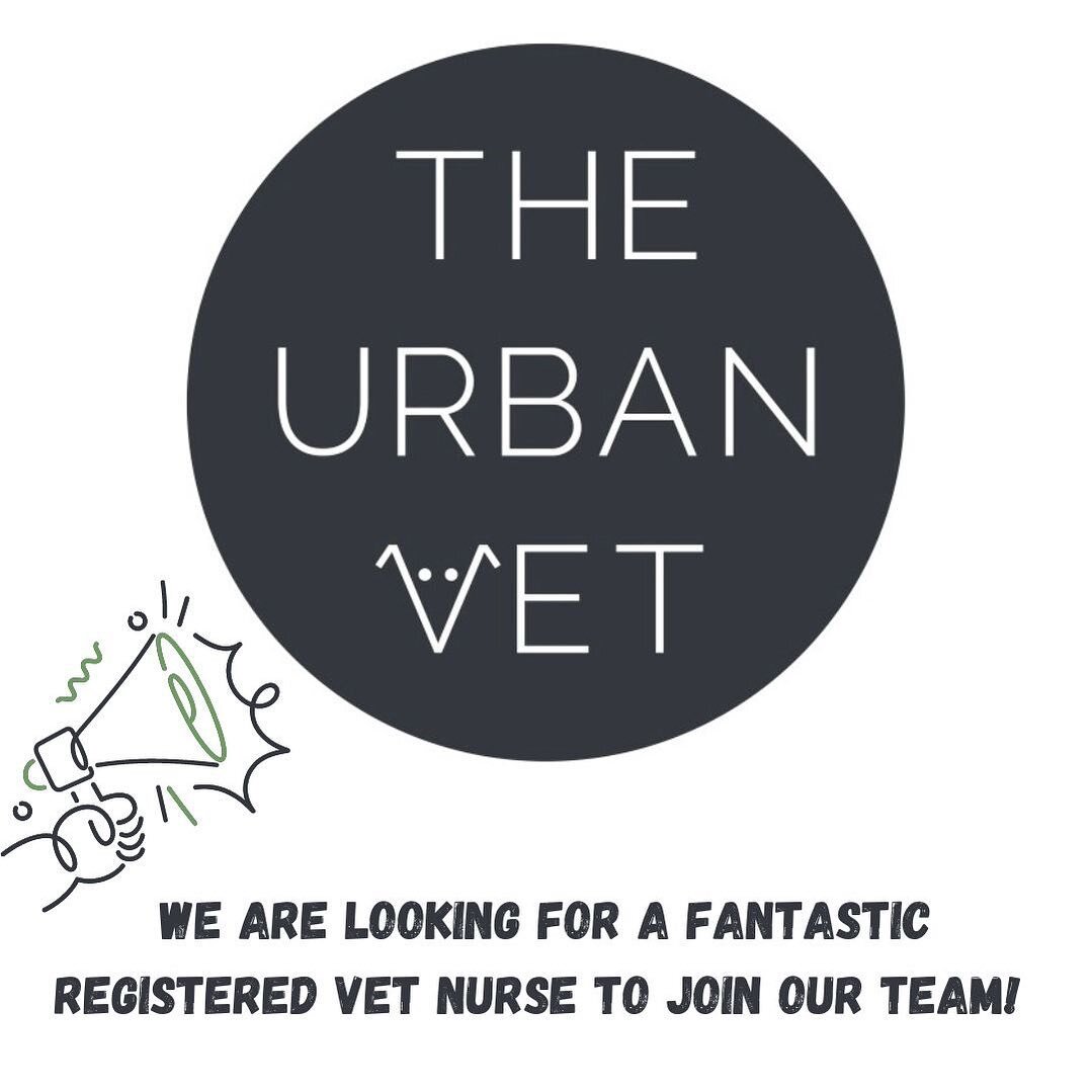 The Urban Vet is now recruiting for a fantastic Registered Veterinary Nurse to join our dedicated team. 
Please email the practice with your CV and cover letter (info@theurbanvet.co.uk) if you are interested or go to our job listing on Indeed.

#theu