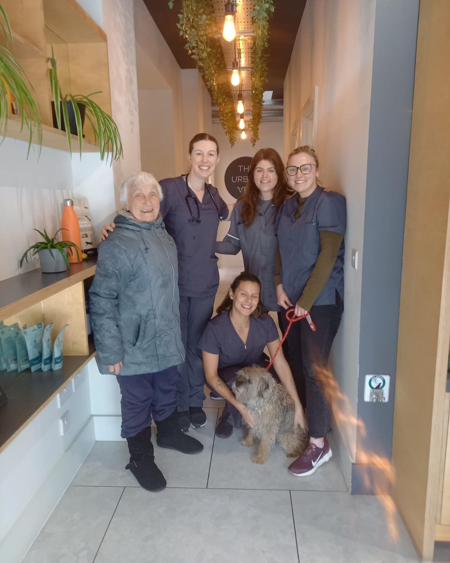 Archie the border terrier and Val are two locals who we love to see. 
Archie is so loved by Val and vice versa. 
Thank you both for always being an absolute delight!

#theurbanvet #independentvet #londonvetclinic #earlsfield #wimbledon  #tooting #vet