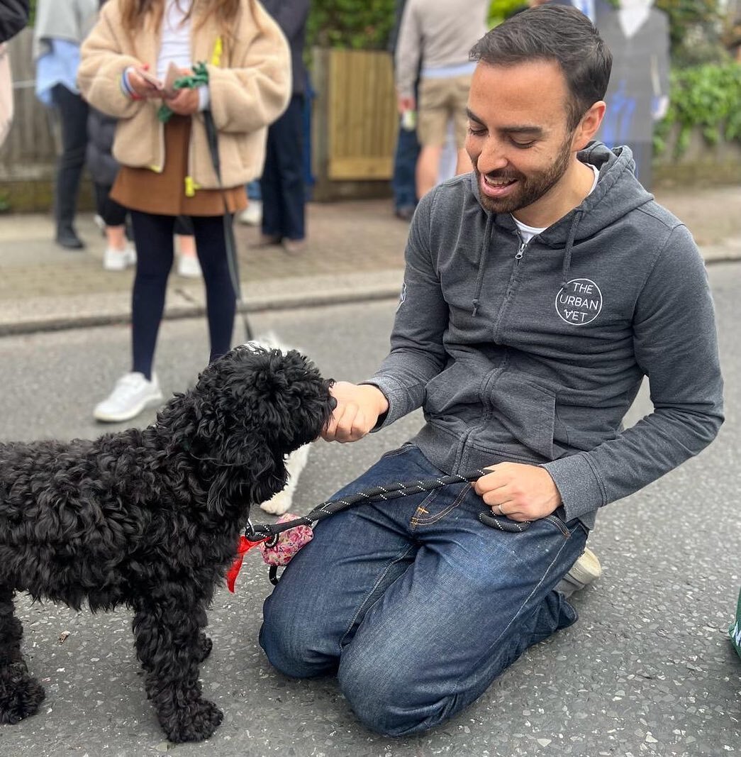 Paul had a wonderful time judging the dog competition at the Ellerton Road Coronation Street party on Sunday. The street party was fantastic and so well organised. Many thanks to all the wonderful dogs and their human companions that took part. It wa