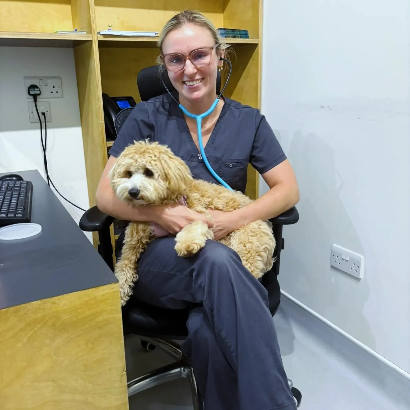 Brilliant Bonnie was the most chill patient for her check-up with Dr M&eacute;abh 💚🎖🐾
-
-
-
-
- #theurbanvet #independentveterinarypractice #earlsfield #wimbledon #balham #clapham #wandsworth #tooting #localvet #dogparents #doglover #vetvisit
