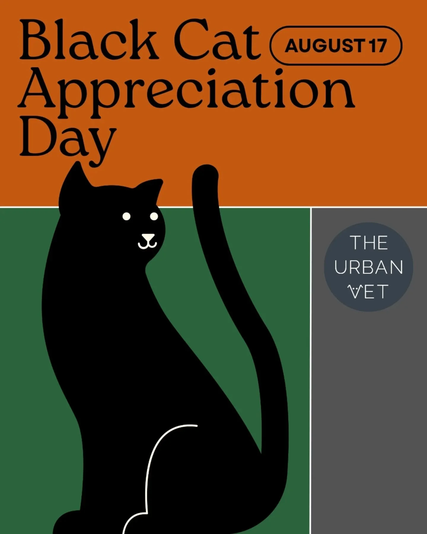 In celebration of #blackcatappreciationday we wanted to shine a spotlight on Wilson 🫶🐾 SWIPE! ---&gt;

We love you Wilson! 💚🌟

#theurbanvet #independentveterinarypractice #earlsfield #wimbledon #balham #clapham #wandsworth #blackcatsofinstagram #