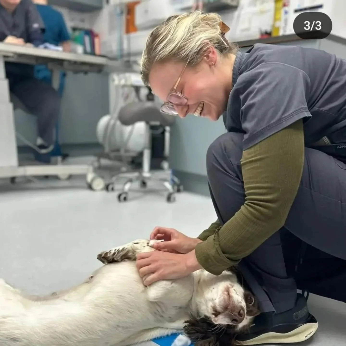 ☁️We&rsquo;re sad to say goodbye to our wonderful vet Meabh as she is moving back to Ireland 🇮🇪 Meabh has been such an important part of our team 🐾💛 We&rsquo;ll miss her hugely and wish her all the best for the future! 

🌅 With one ending comes 