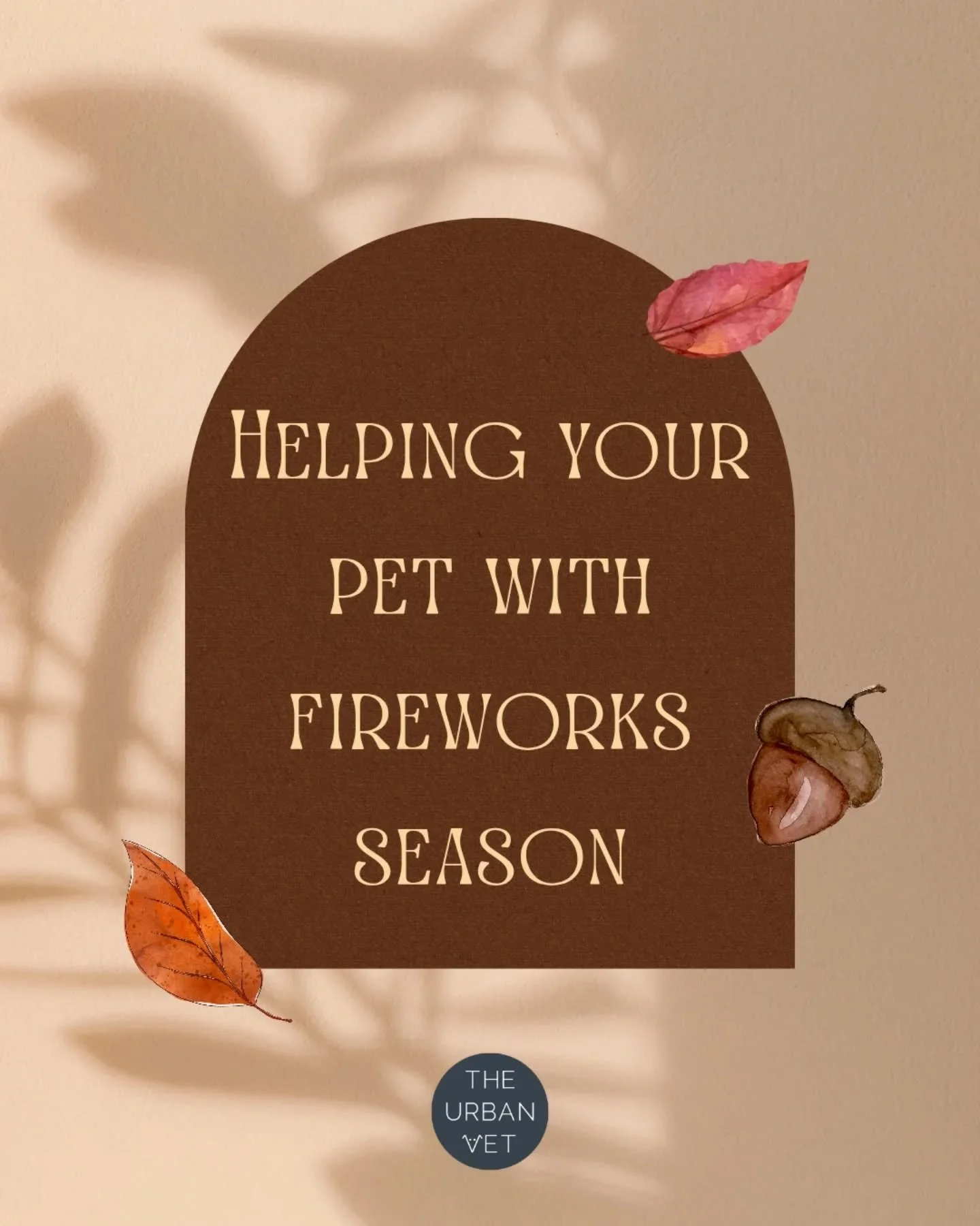 Some useful tips for helping your furry friend as fireworks season is fast approaching 🎆🐈&zwj;⬛🐕 
-
-
-
- #theurbanvet #fireworksnight #petadvice #petparents #dogparents #catparents #earlsfield #wimbledon #balham #clapham #wandsworth #noisereactiv