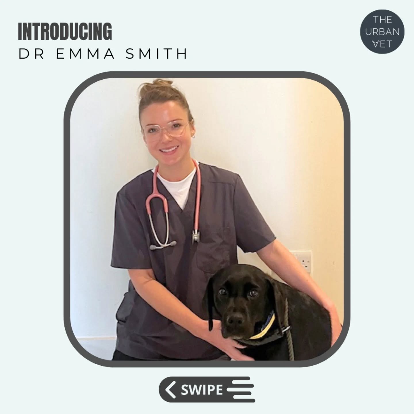 Dr Emma Smith joined us last week, swipe to learn more about our new Vet Emma 🩺🐾
-
-
-
-
- #theurbanvet #newstaff #localvet #independentveterinarypractice #meettheteam #earlsfield #wimbledon #balham #clapham #wandsworth
