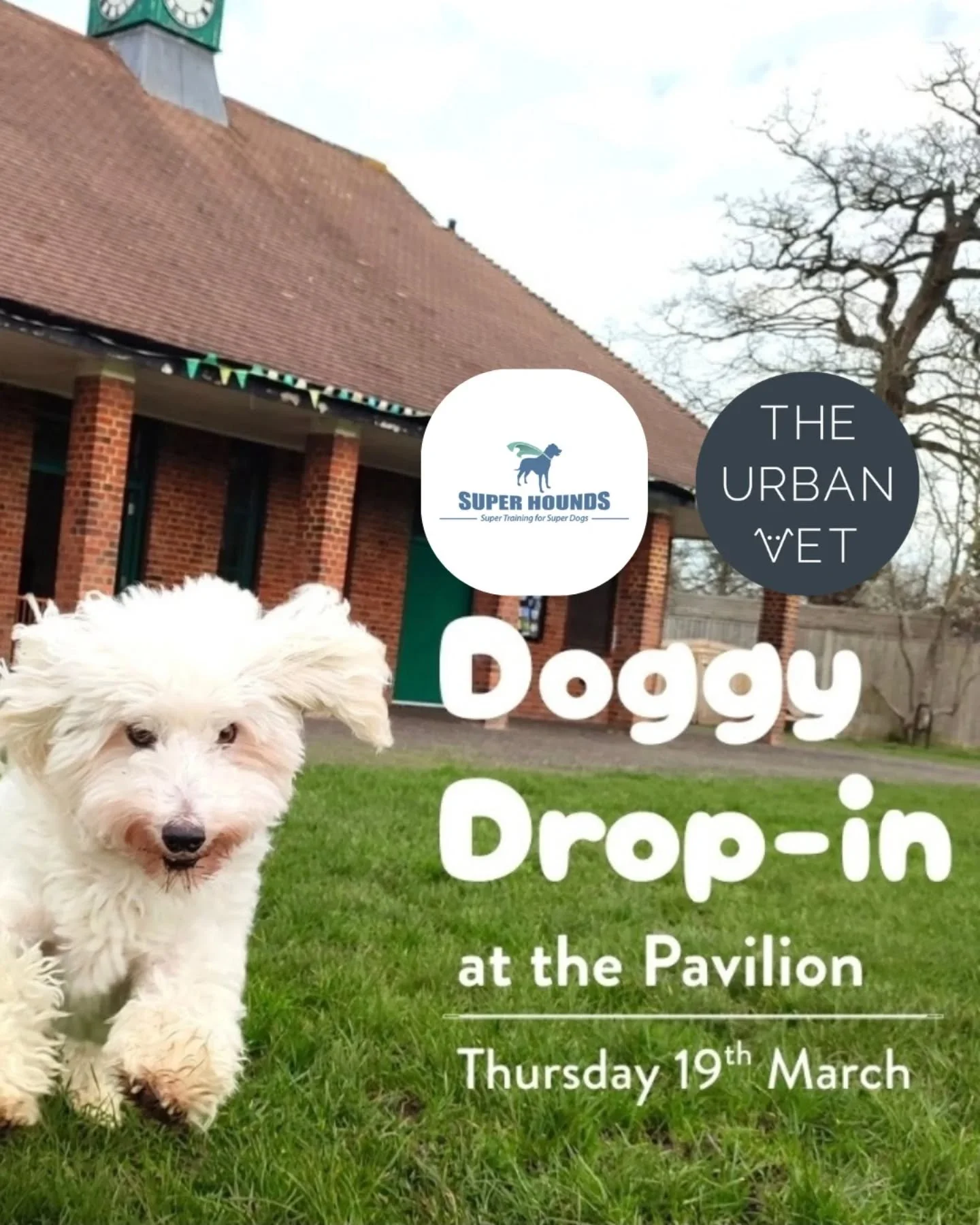 We're su-paw excited to meet everyone at the Doggy Drop-in @woodfieldpavilion next Friday 19th of March!🐾🎉 We'll be there from 12.30pm to 2.30pm. 

Our Vet Paul will be covering topics in his Q&amp;A like:
- Itchy dogs / dogs that lick their paws e