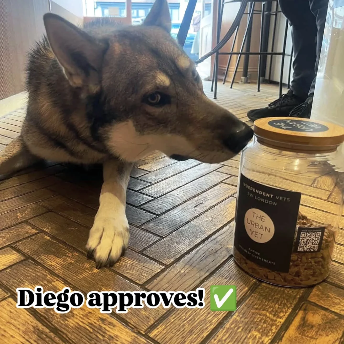 Treat yourself and your furry friend to a drink or a bite to eat at @hazelscafe_ ☕️🐾🫶 

#dogfriendly and #localbusiness Hazel's has been serving sweet and savoury crepes in Furzedown since 2024!  Opened by three sisters from the local area, you can