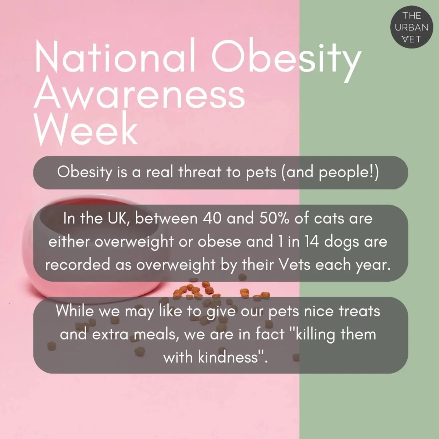 Extra treats and skipped walks add up faster than you think. Maintaining a healthy weight helps cats and dogs live longer, happier lives 💚 

If you're unsure whether your pet is a healthy weight, just ask at your next visit! 

#nationalobesityawaren