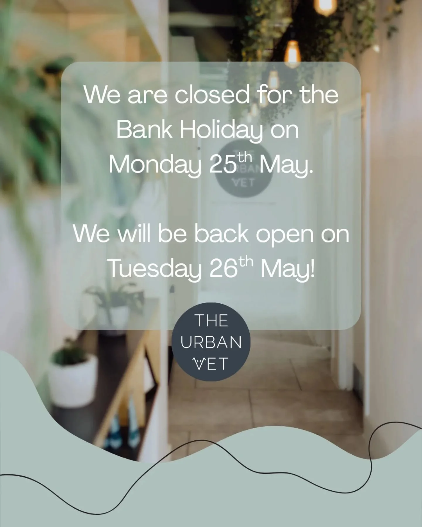 We will be closed this coming Monday 25th May for the bank holiday and we are open again on Tuesday 26th of May! We hope you all have a lovely weekend 🌈🐾

It is due to be sunnier and hotter over the next few days 🌞 make sure to check the forecast 