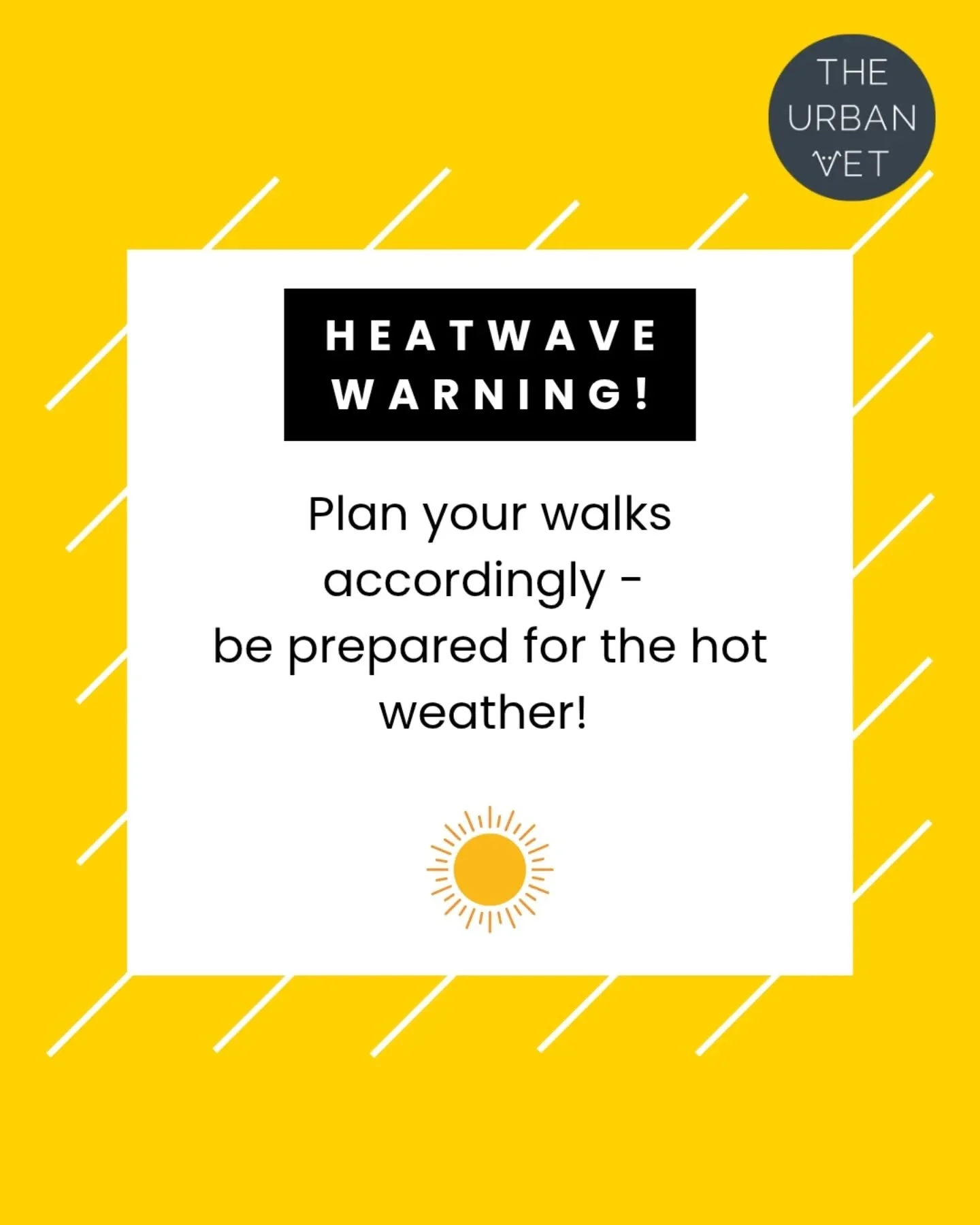 🔗ℹ️ Advice for cats and dogs in the heat as well as signs of heatstroke linked in our bio! 🌞💧🌳

#theurbanvet #independentveterinarypractice #pethealthtips #heatstrokeawareness #earlsfield