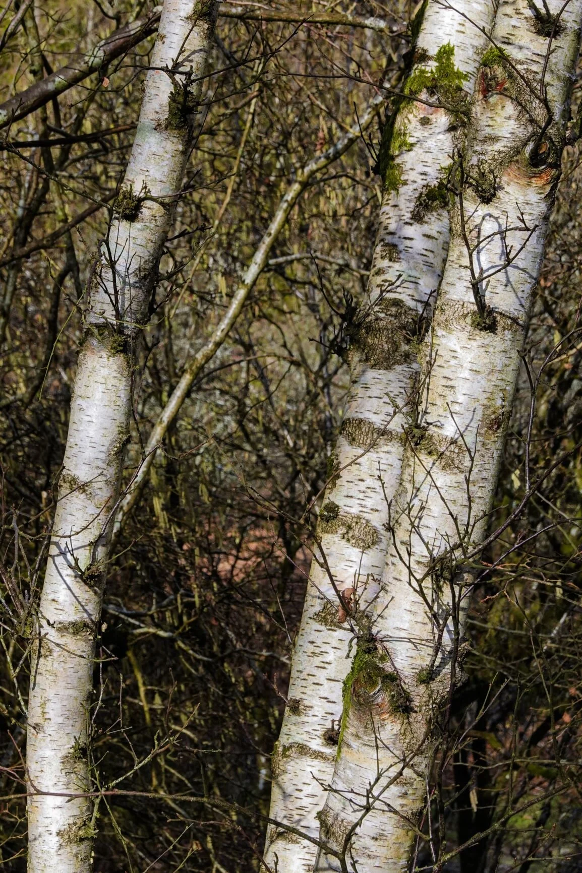 slide show keswick threlkeld extra-18 rs.JPG