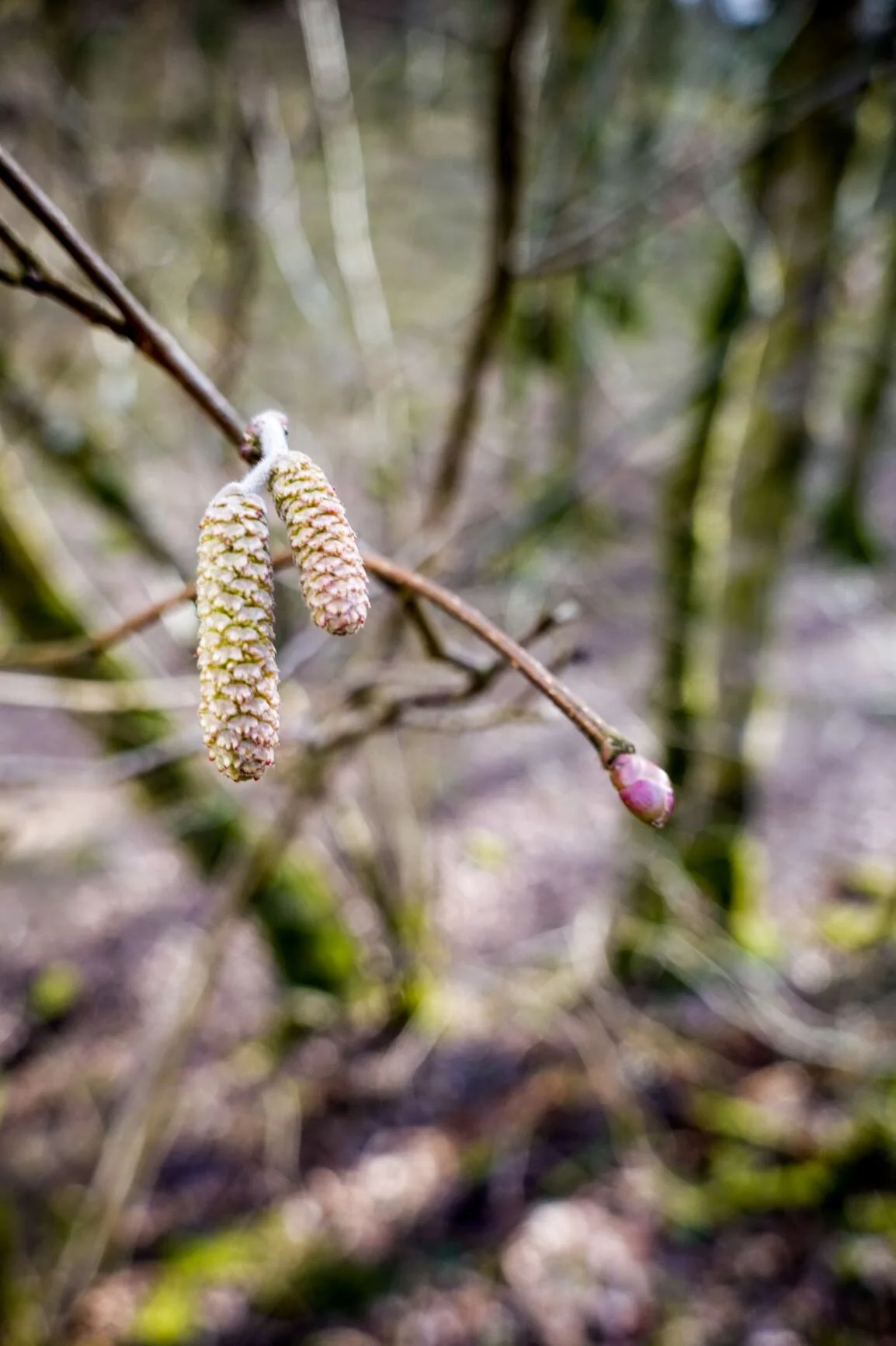 slide show keswick threlkeld-16 rs.JPG