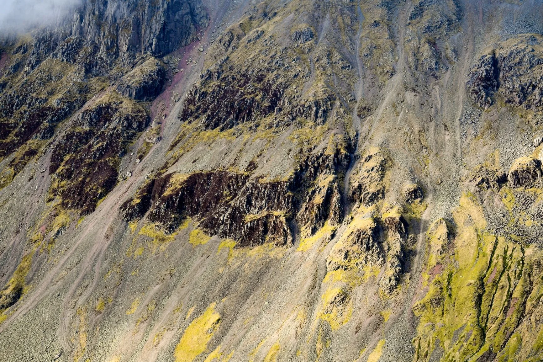 distant damages-1rs.JPG