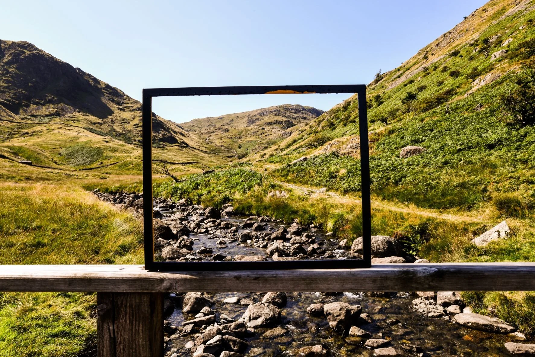 spine newspaper chest