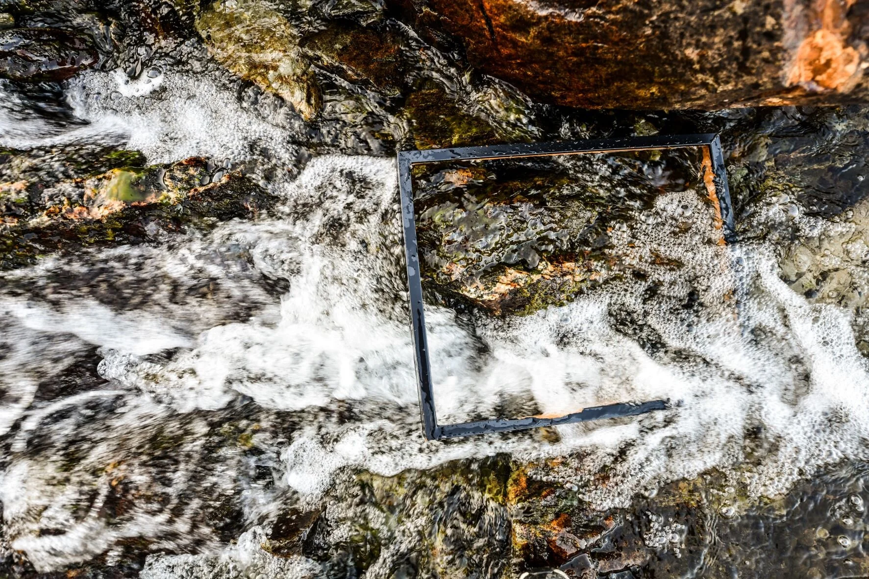 meatball robots having