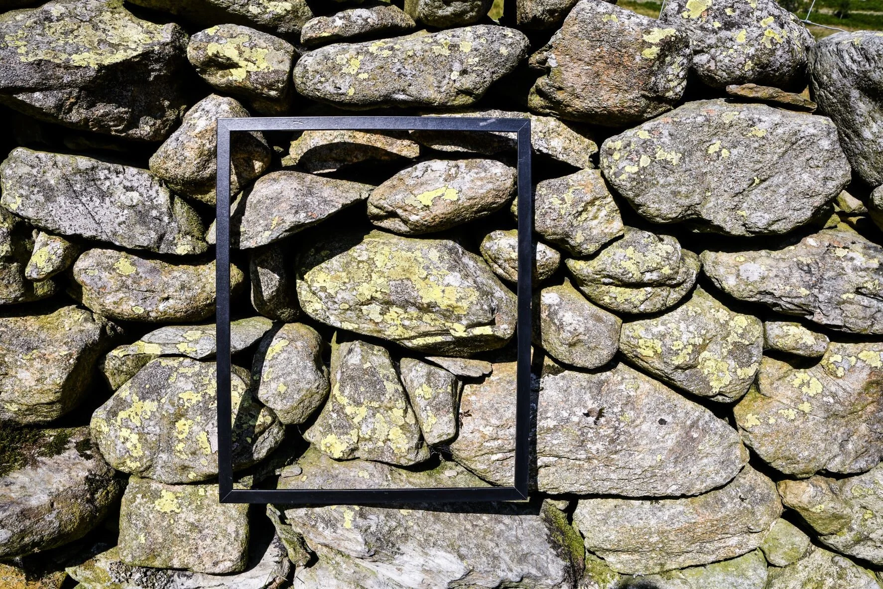 sprawls demotion junction