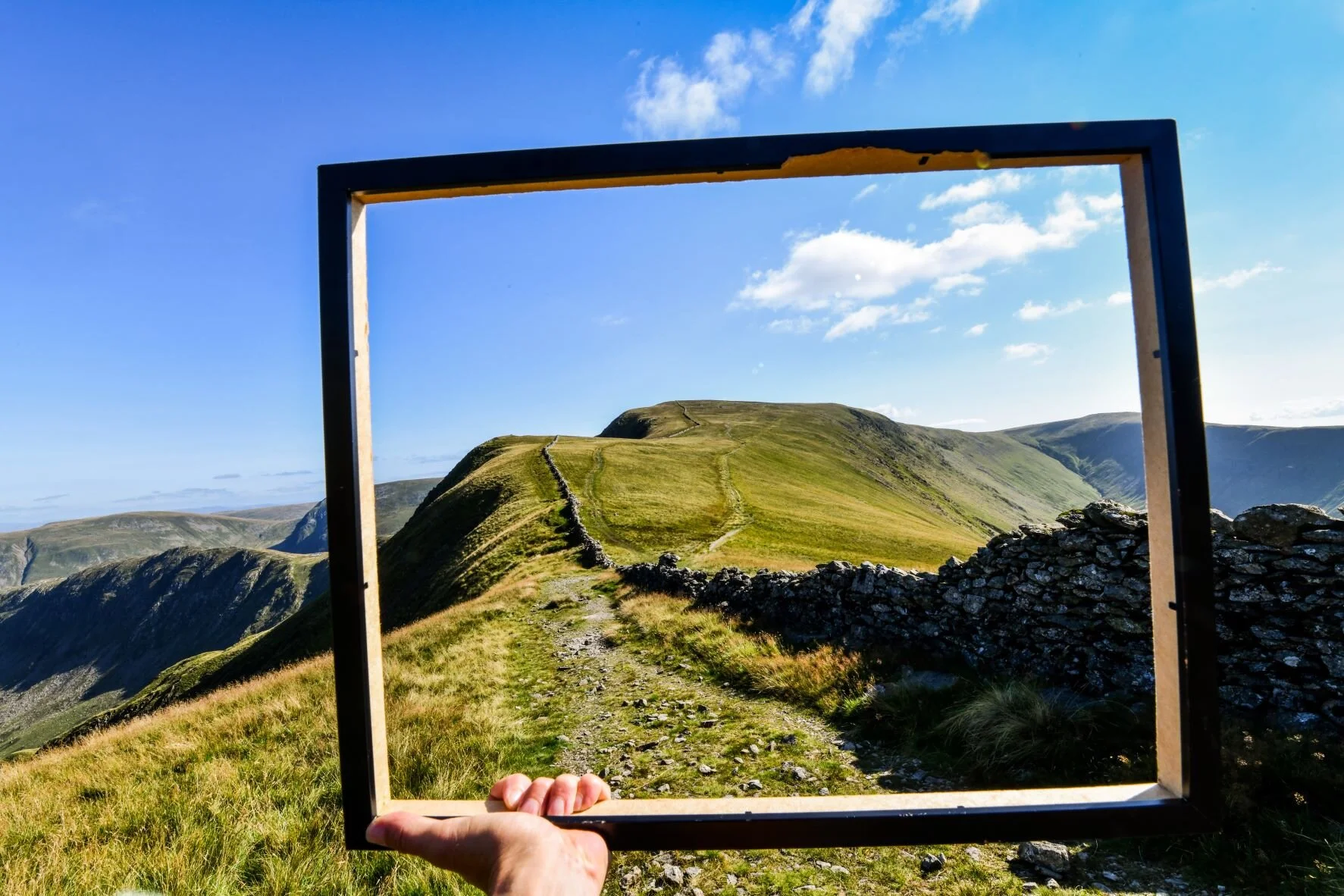 galloping silver sheds